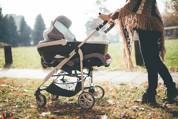 Bassinet Stroller