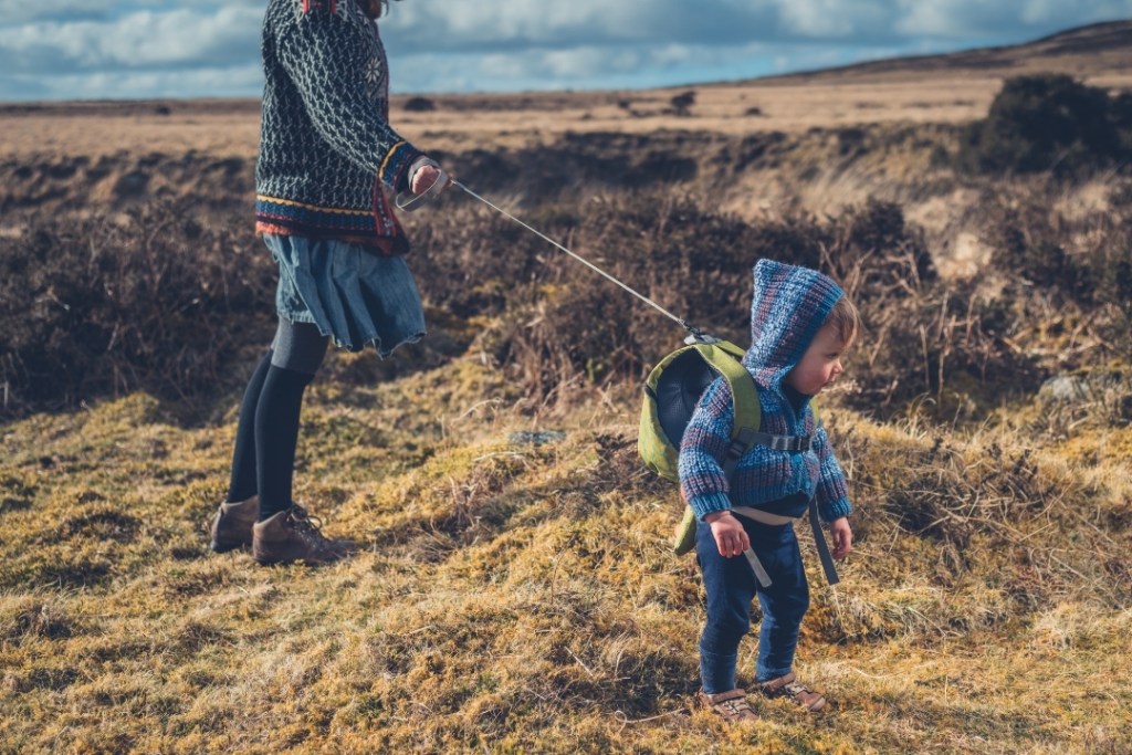 toddler harness backpack